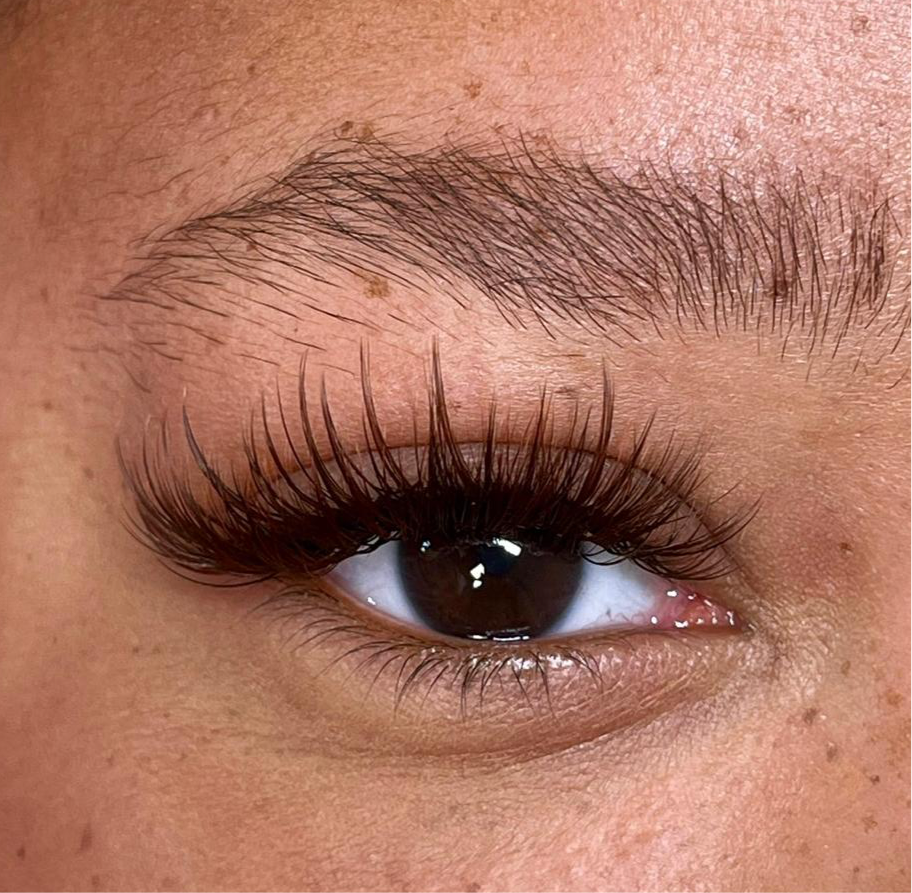 NEW! BROWN Lashes